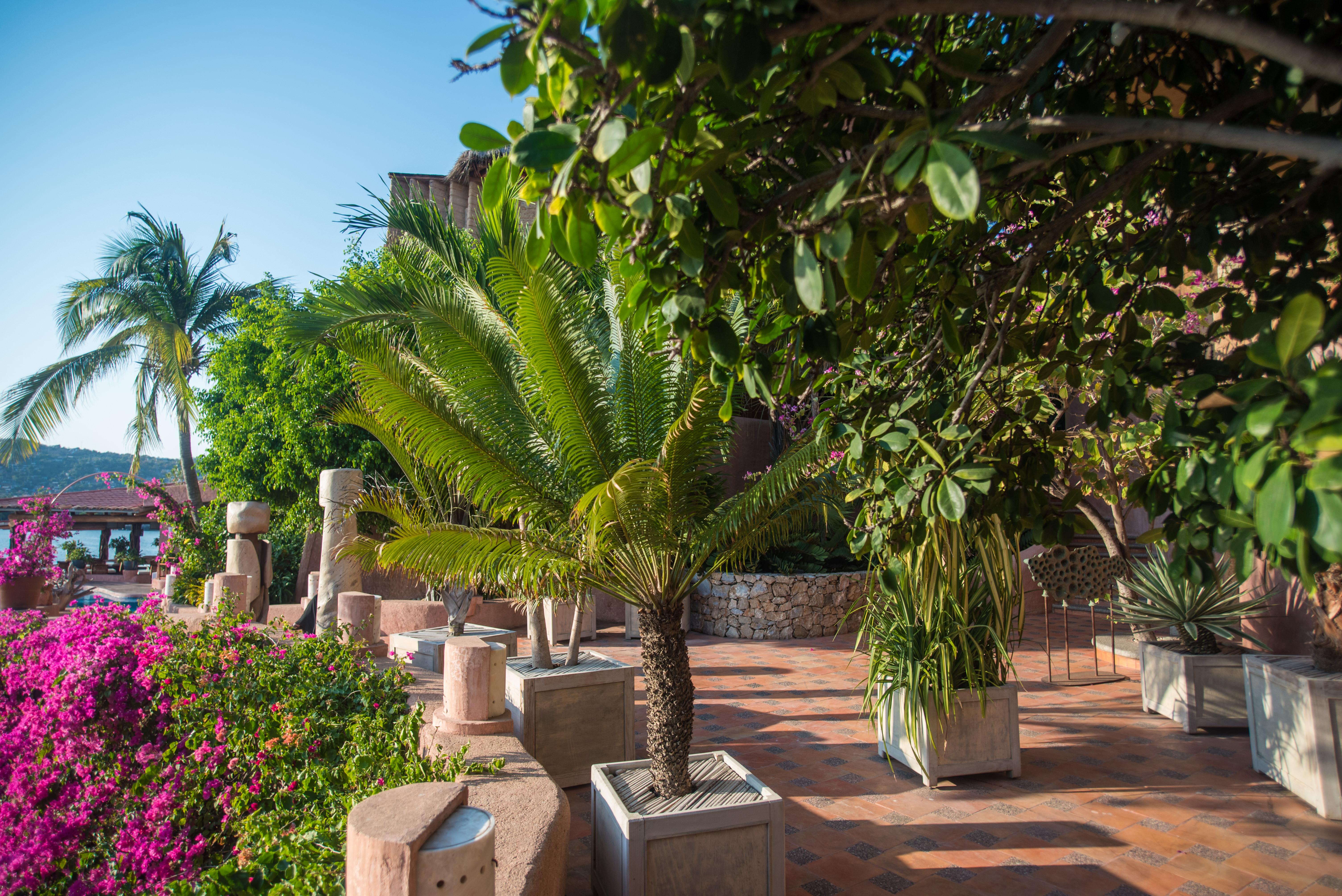 La Casa Que Canta (Adults Only) Zihuatanejo Exterior photo